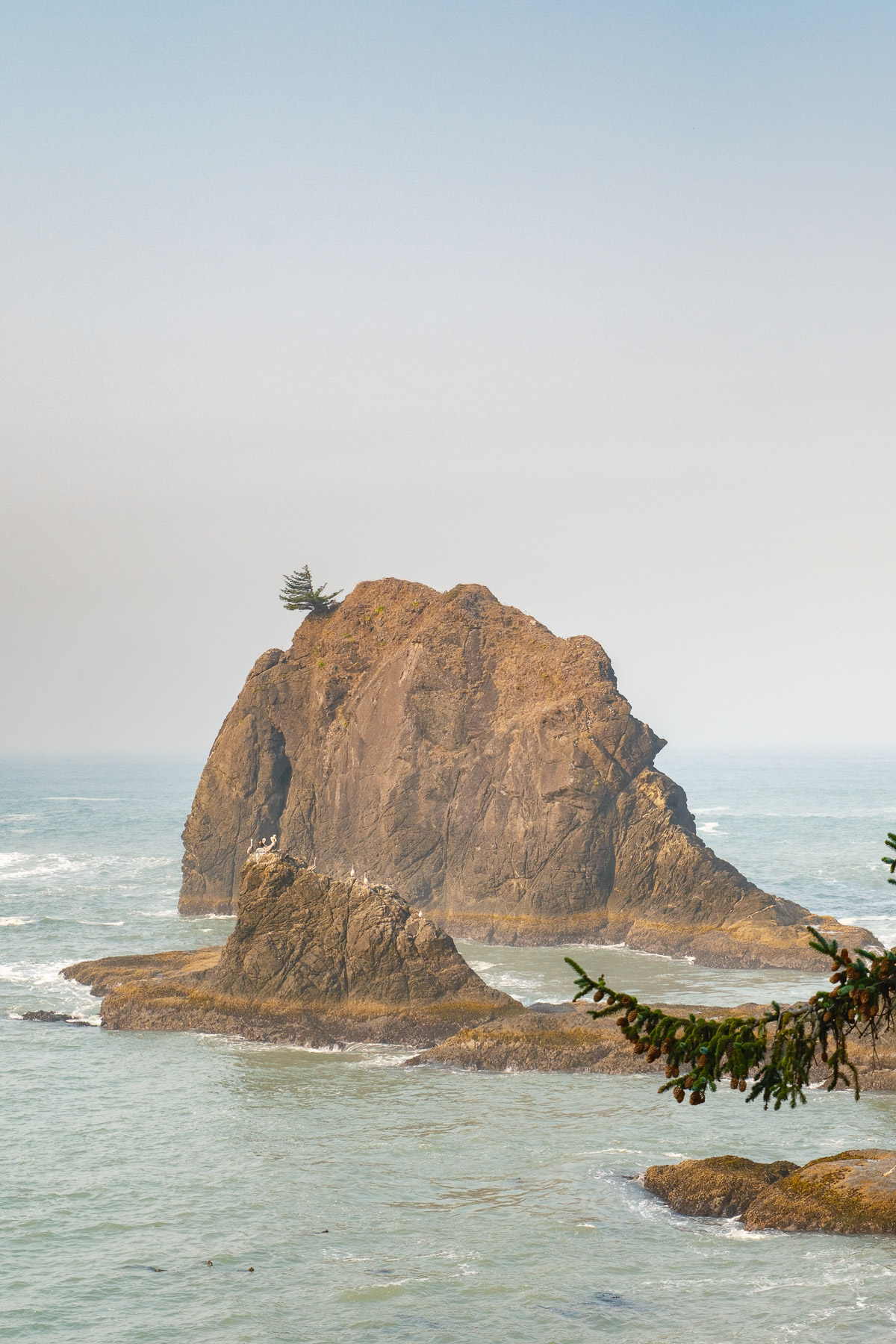 Pacific Northwest Road Trip photo titled Pacific Coast 27